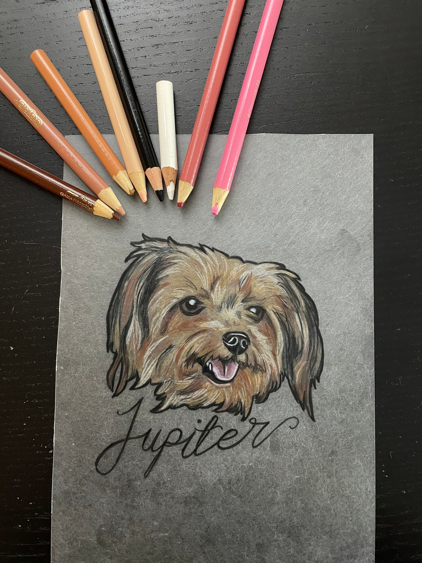 Pet Portrait Drawing