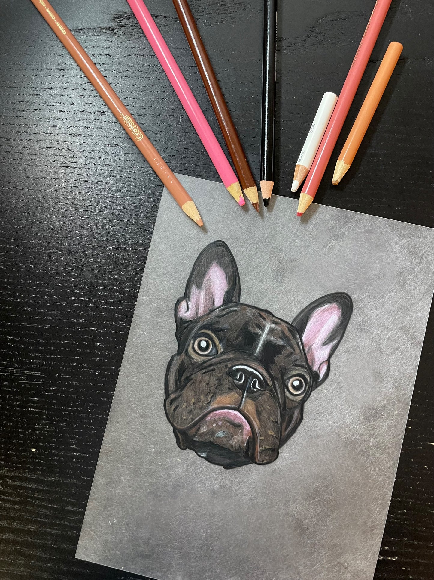 Pet Portrait Drawing