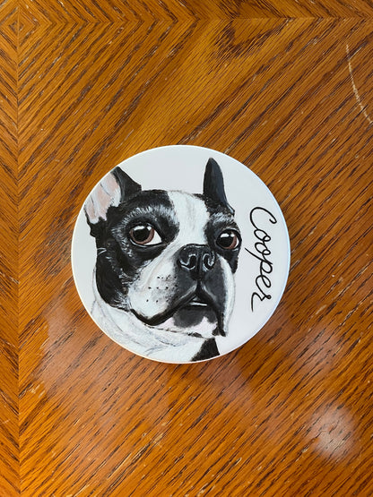 Pet Portrait Painting