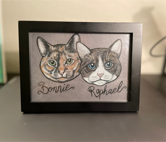 Pet Portrait Drawing