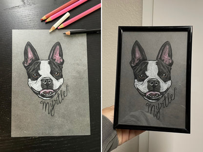 Pet Portrait Drawing
