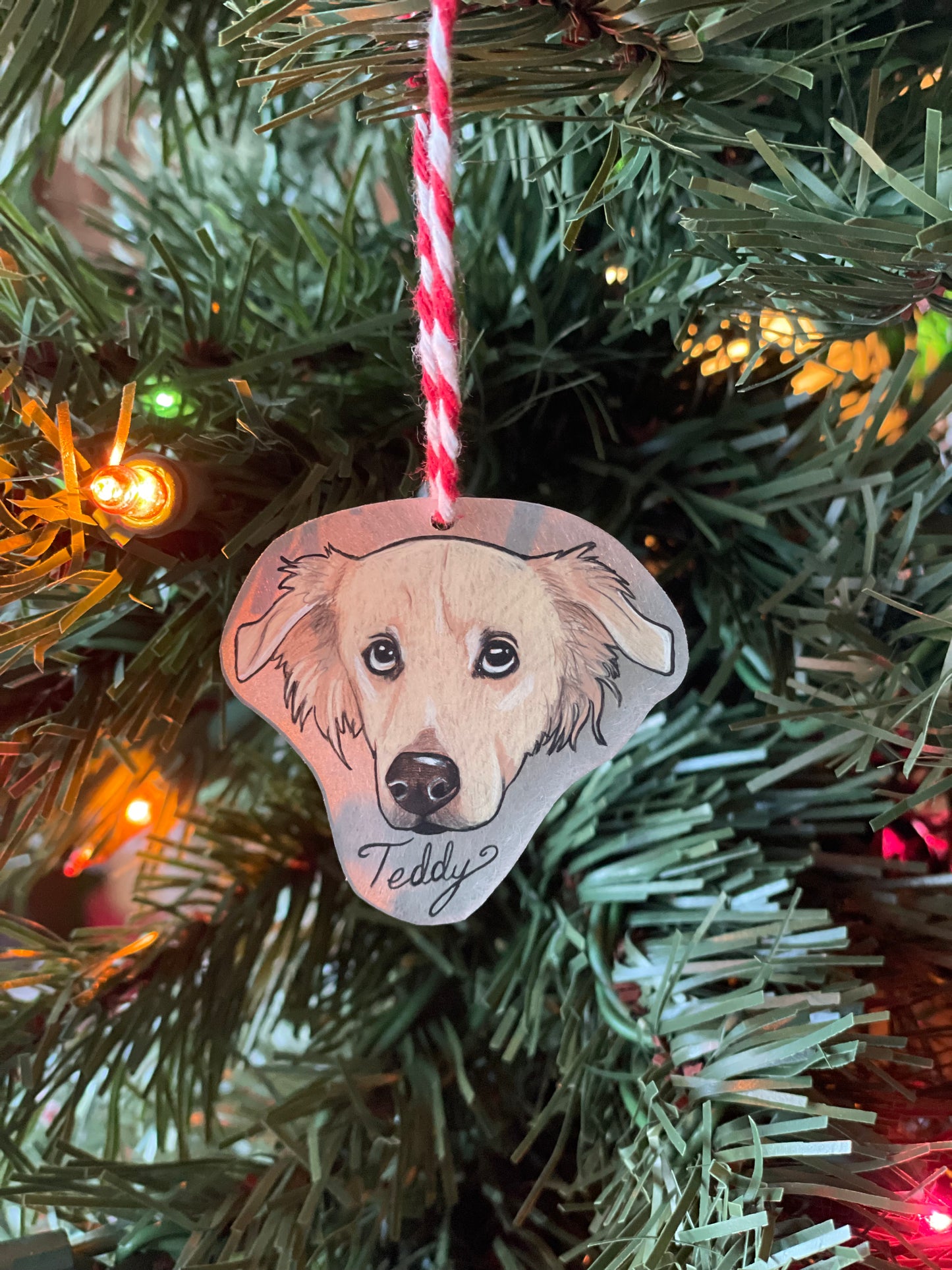 Pet Portrait Ornaments